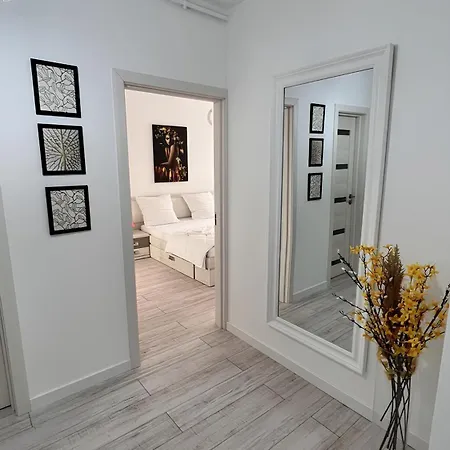 Gavas Near Arena Κλουζ-Ναπόκα