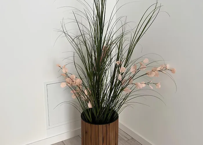 Gavas Near Arena * Kolozsvár