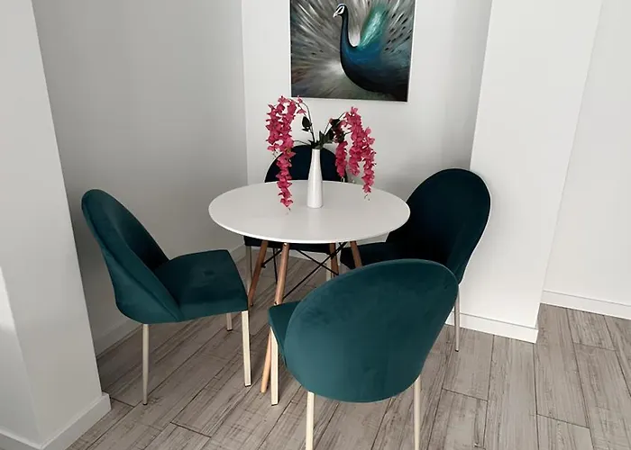 Gavas Near Arena Kolozsvár