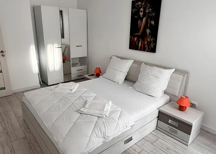 Gavas Near Arena Kolozsvár